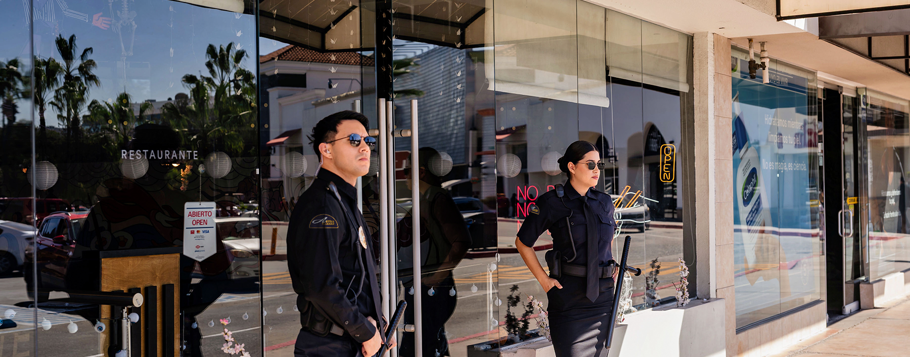 Retail Security
