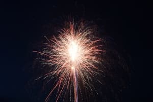 4th July Firework Security Guard California