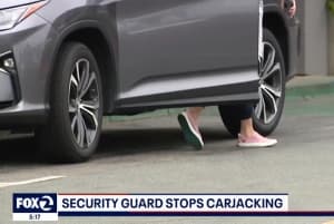 Another Security Guard Hero