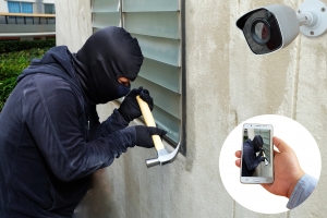 professional security services Gardena